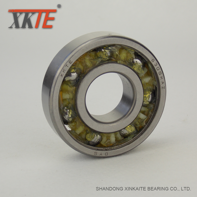 Bearing for Conveyor Components