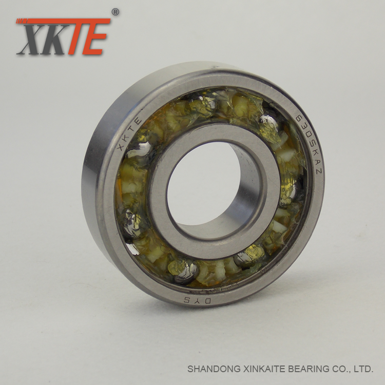 6305kaz Sealed Polyamide Cage Bearing