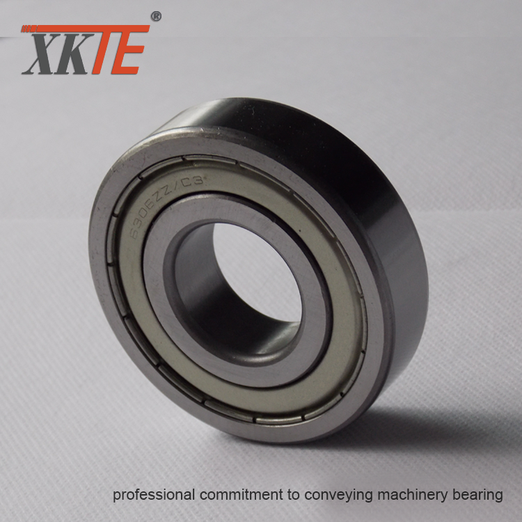 Iron Seals Ball Bearing 6306 ZZ C3