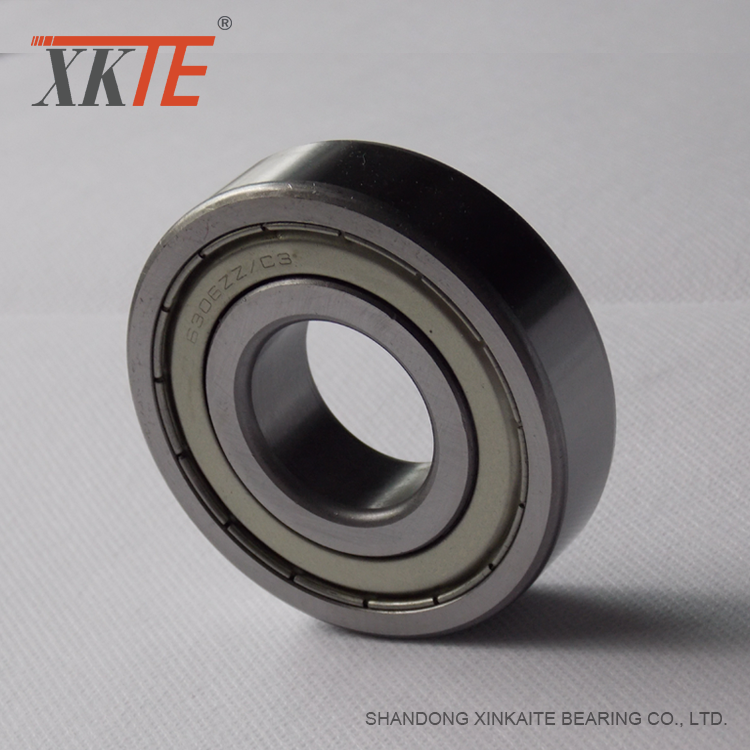 Conveyor Parts Steel Shielded Bearing 6205 ZZ C3